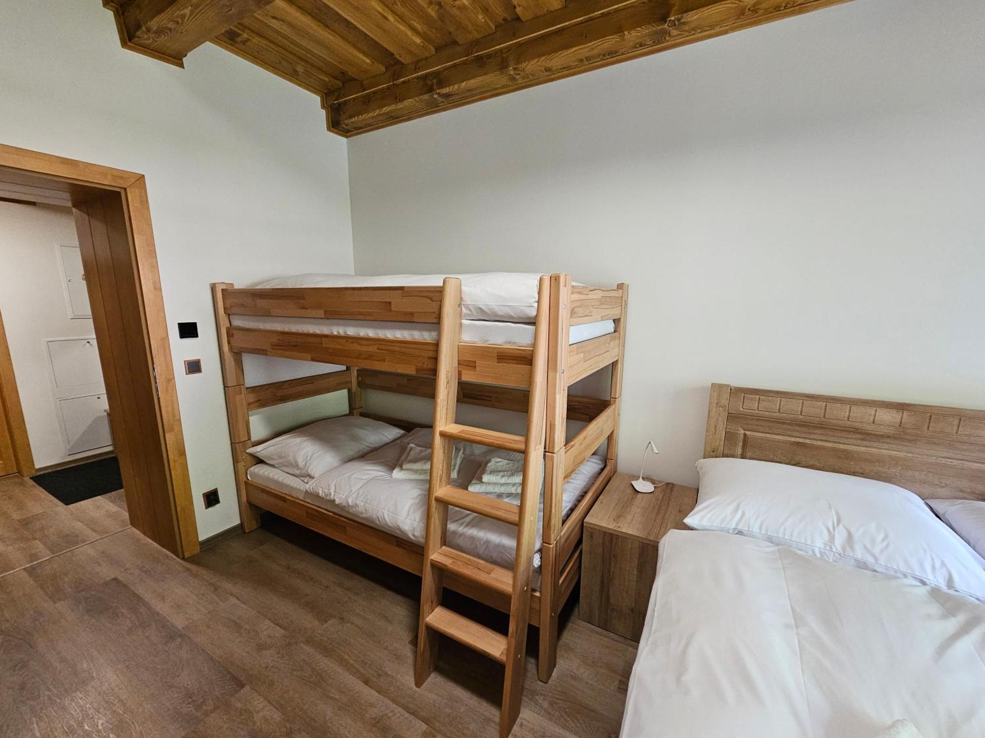 Apartmany Jezerne Вельке-Карловице Номер фото